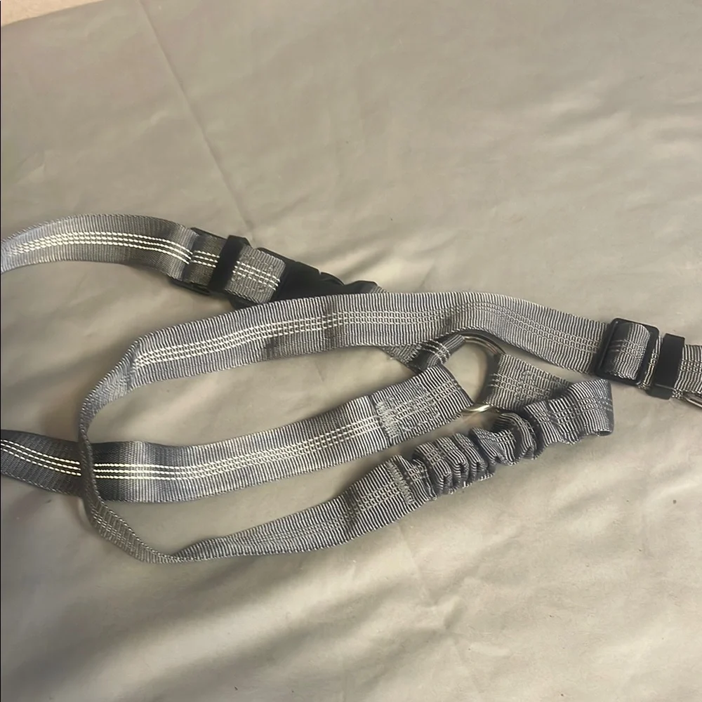 Dog seat belt strap